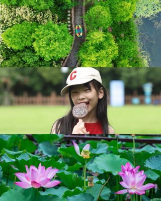 With temperatures as low as 28°C, strolling with the kids amidst the lotus blossoms at Shanghu Lake in the cool summer is incredibly romantic!