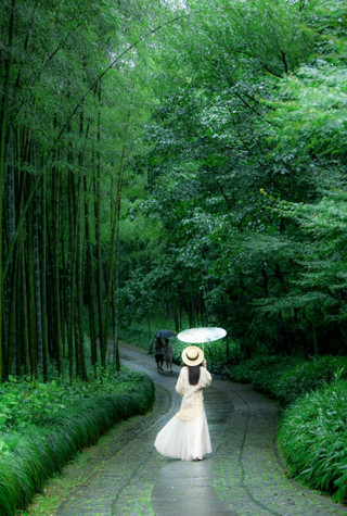 杭州雲棲竹徑仙氣打卡地！帶你穿越進水墨畫