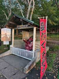 暑假帶娃去日本攻略收好