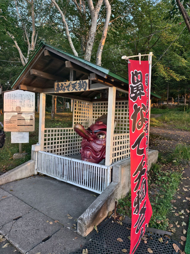 暑假帶娃去日本攻略收好