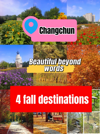 Autumn in Changchun | colorful leaves, red maples, and seas of flowers all in one place