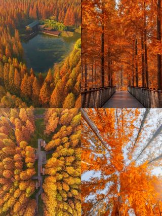 2-hour direct access to Jiangsu's hidden "Little Xinjiang," a healing 10,000-acre wonderland