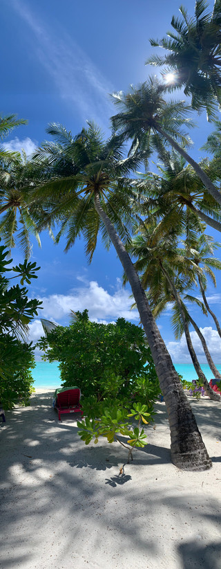 A Tropical Paradise That Feels Like a Second Home