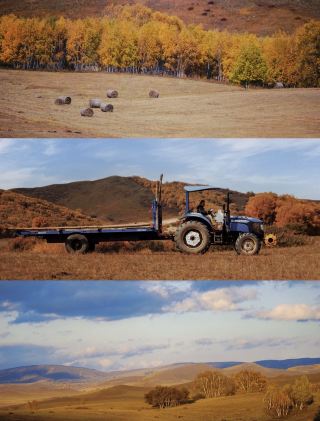 In autumn, I only look for the top-tier Ulan Butong sunset guide. Arxan is beautiful, and Ulan Butong is just as good. The Donggou sunset recommended on Xiaohongshu did not disappoint. 