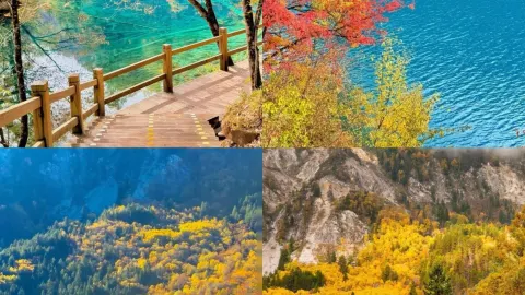 The ultimate one-day guide to Jiuzhaigou! Covering the right, left, and central routes — traveler post in Aba Prefecture