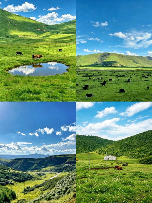 Longnan 3 Days 2 Nights | The ultimate, efficient guide to this incredible hidden gem!