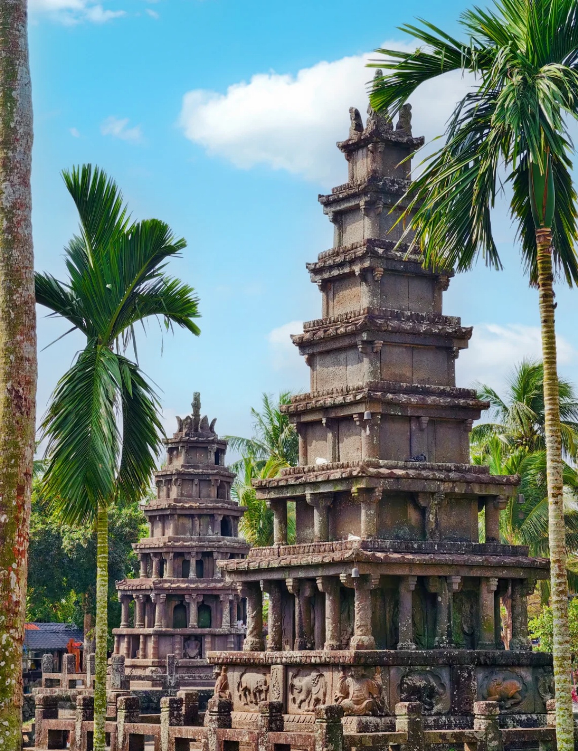 Don't just pick any place when traveling to Chengmai for business; stay here and you can visit parks right outside the door.