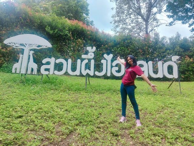 สวนผึ้ง ไฮแลนด์ 🐝SUANPHUNG HIGHLAND 🐝