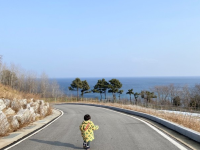 강원도 고성 여행 통일전망대 금강산뷰