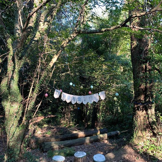 제주 숲해설 들으면서 힐링할 수 있는 환상숲곶자왈공원🌱 [제주_환상숲곶자왈공원]