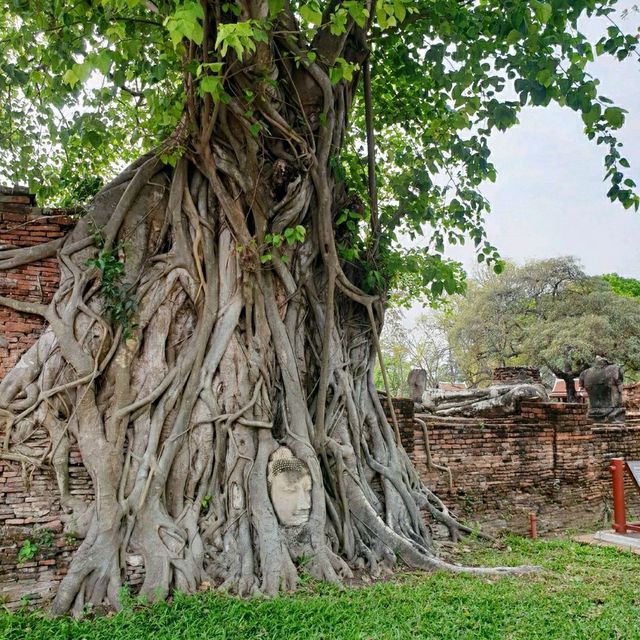 วัดมหาธาตุ unseen in Ayuthaya 🍂🍃