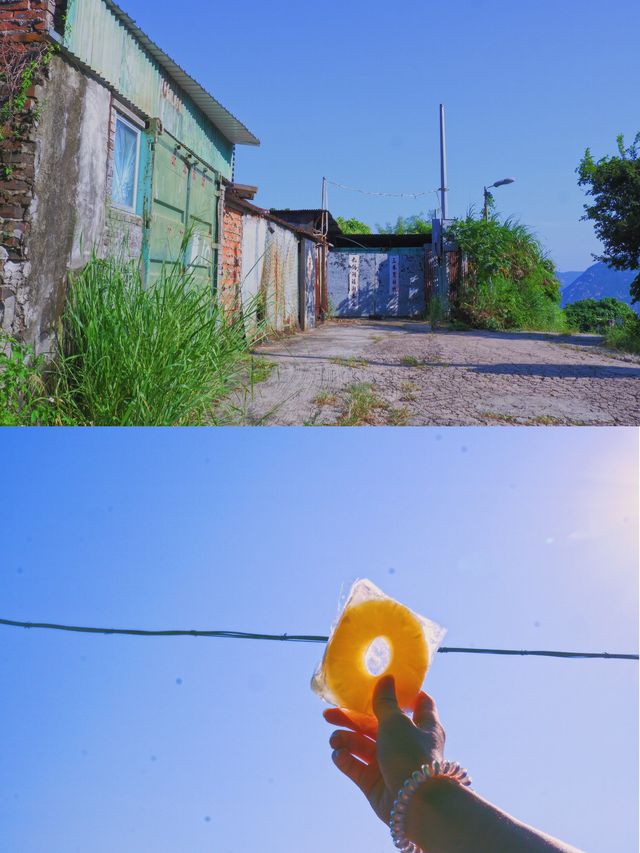 香港 | 一不小心闖進了宮崎駿的夏天