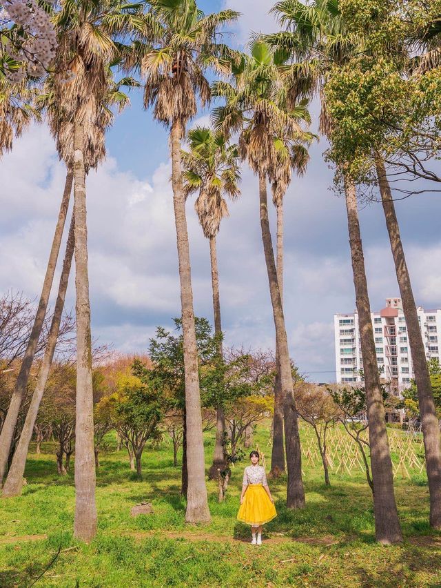🌸벚꽃 피크닉 가능한 곳🌸