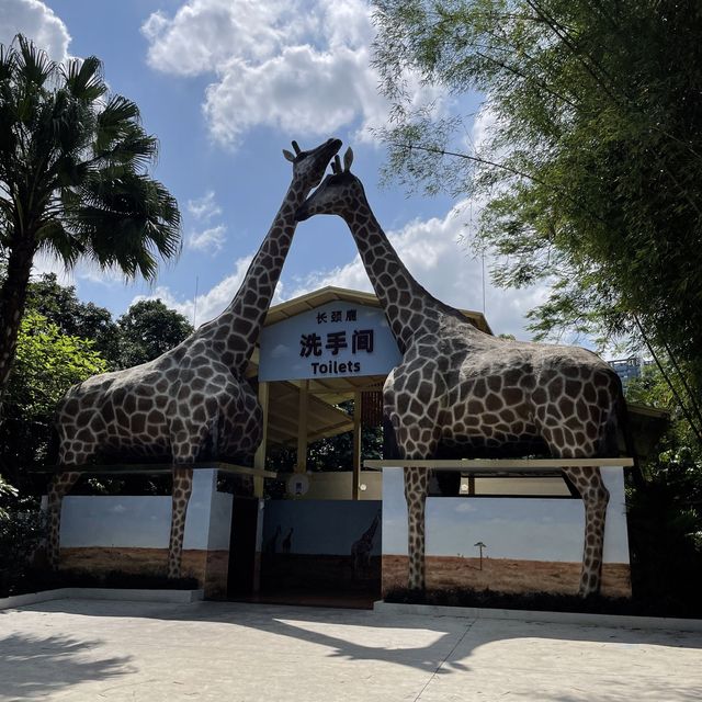 深圳野生動物園👍🏻餵長頸鹿🦒初體驗😌福田30分鐘距離