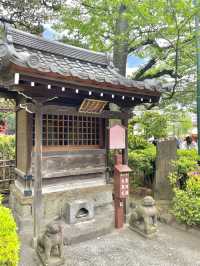 도쿄 필수 관광지 "센소지"⛩️