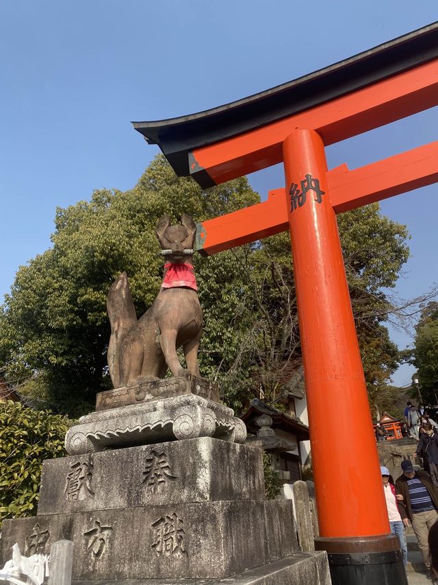 เที่ยวศาลเจ้าฟูชิมิ อินาริ ⛩️Fushimi Inari Taisha