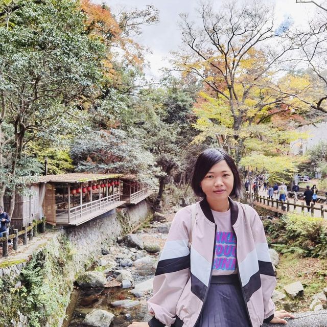 Osaka Minoh Waterfall 