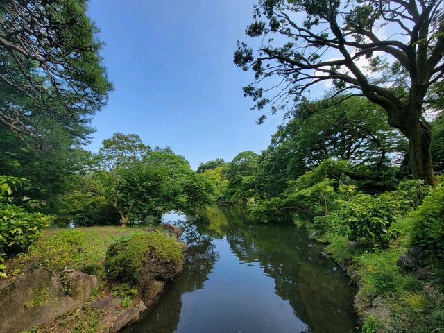東京繁忙大都市内的美麗綠洲