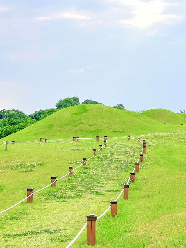 드넓은 초록빛, 창녕 교동 고분군🌿