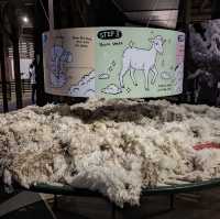 Amazing wool Museum