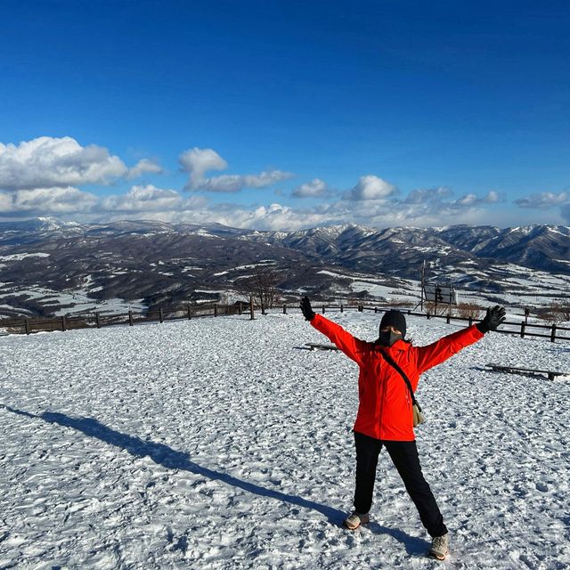 🏔️Immerse yourself in the serenity of Mount Usu in Hokkaido