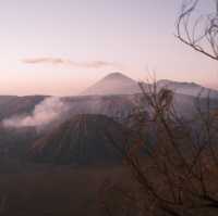 Best Decision to visit Mount Bromo