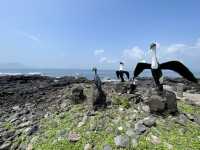 濟州必去牛島