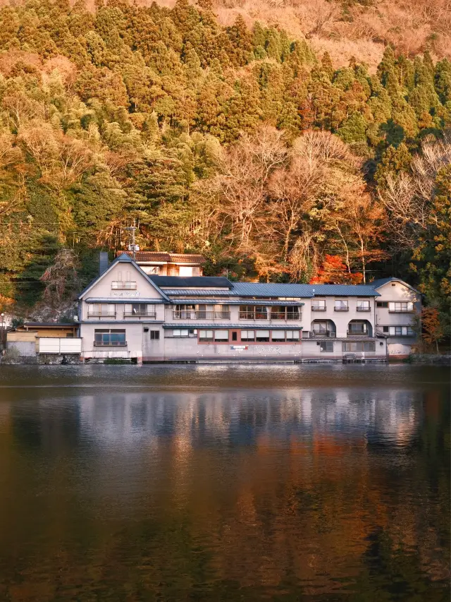 日本九州｜秋季的金鱗湖 美的像一幅油畫🍁