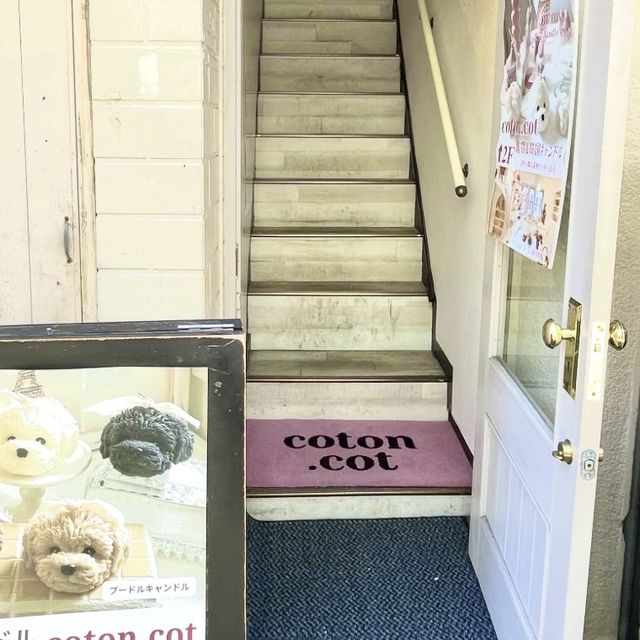 神奈川　鎌倉　韓国風雑貨屋さん🧸🪄