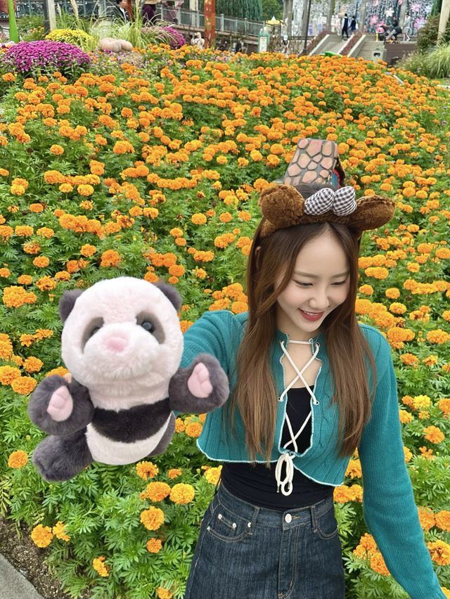 서울근교 최고의 놀이공원, 에버랜드 🎡