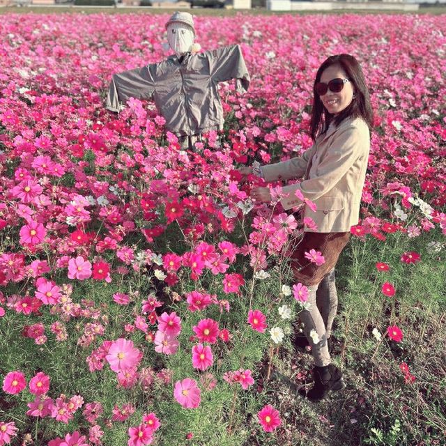 Beauty of Cosmos and You