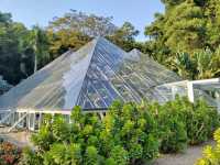 深圳仙湖植物園