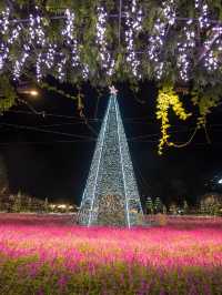 【この冬絶対に行くべき！😳】あしふらのイルミネーションが美しすぎる！🎄✨