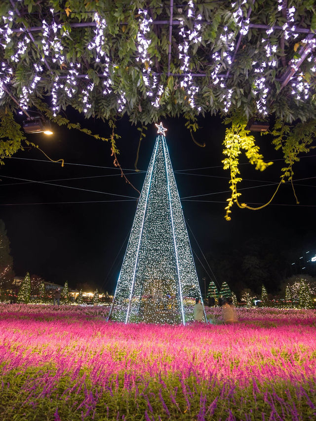 【この冬絶対に行くべき！😳】あしふらのイルミネーションが美しすぎる！🎄✨