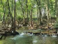 อุทยานแห่งชาติน้ำตกสี่ขีด