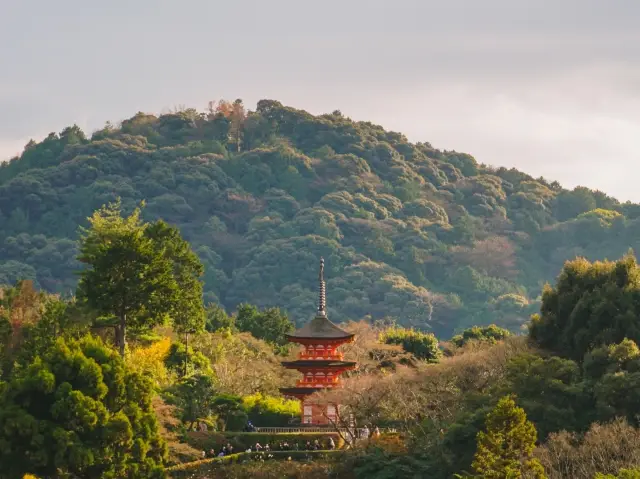 Hatsumōde at Kiyomizu-dera ⛩️