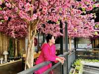 ร้านอาหารญี่ปุ่น ฟิลอินเจแปนสุดๆ