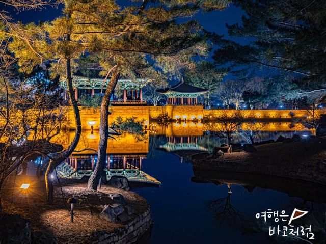 경주 야경 명소 동궁과 월지에서 멋진반영 모습! 경주 야경 명소 동궁과 월지에서 멋진반영 모습!