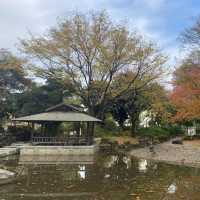 名古屋城市中綠洲 下園公園