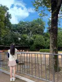 동심의 세계로 과천 가볼만한 곳 ‘서울대공원’  