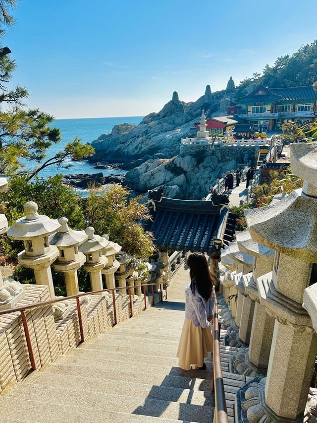 바다가 보이는 한국에서 가장 아름다운 사찰🪷