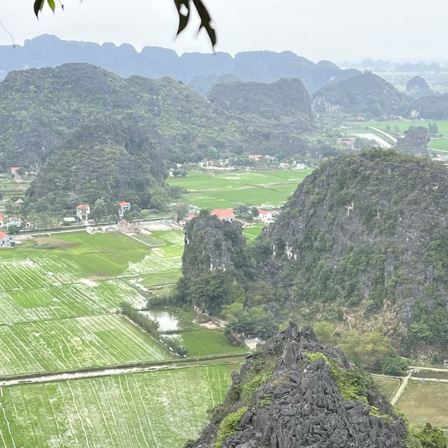 Nigh binh dragon mountain