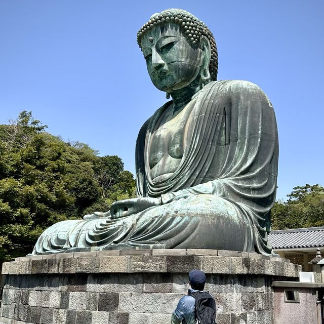 The Great Buddha ,Kamakura . 