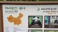 Everland Theme Park, Yongin