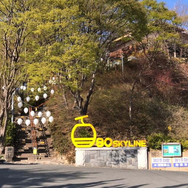 大邱八公山