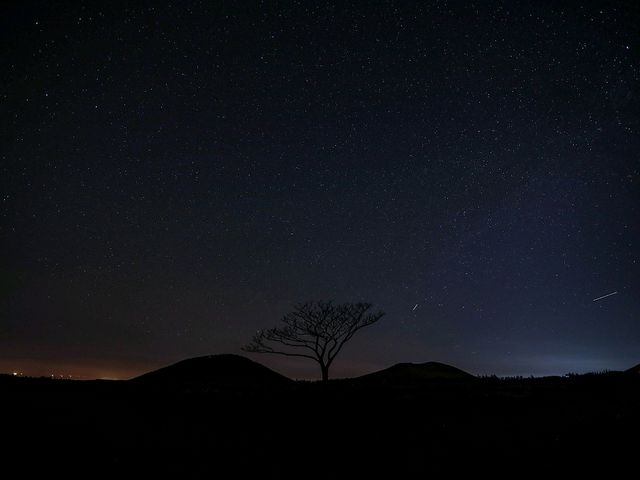 🌌 제주 은하수 보기 좋은 장소"성이시돌목장"