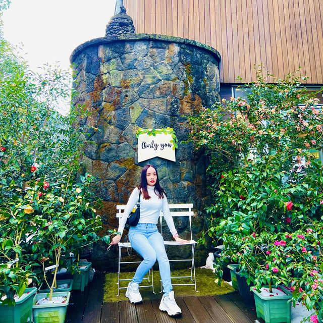 JEJU TRIP