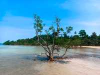 สะพานสู่ฝัน ณ เกาะหมาก จ. ตราด