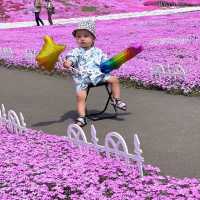 ひがしもこと芝桜公園