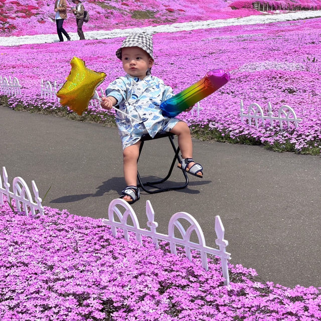 ひがしもこと芝桜公園